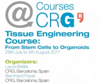 Course@CRG: Tissue Engineering Course: From Stem Cells to Organoids